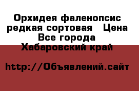 Орхидея фаленопсис редкая сортовая › Цена ­ 800 - Все города  »    . Хабаровский край